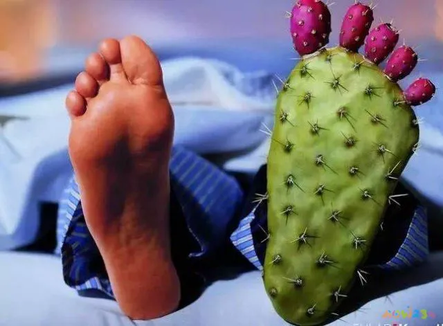 减肥操运动视频_减肥操能运动出汗吗_能减肥的运动操