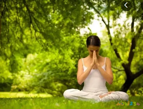 腰疼运动疗法视频图_腰疼运动操作视频_腰疼做什么运动动作图