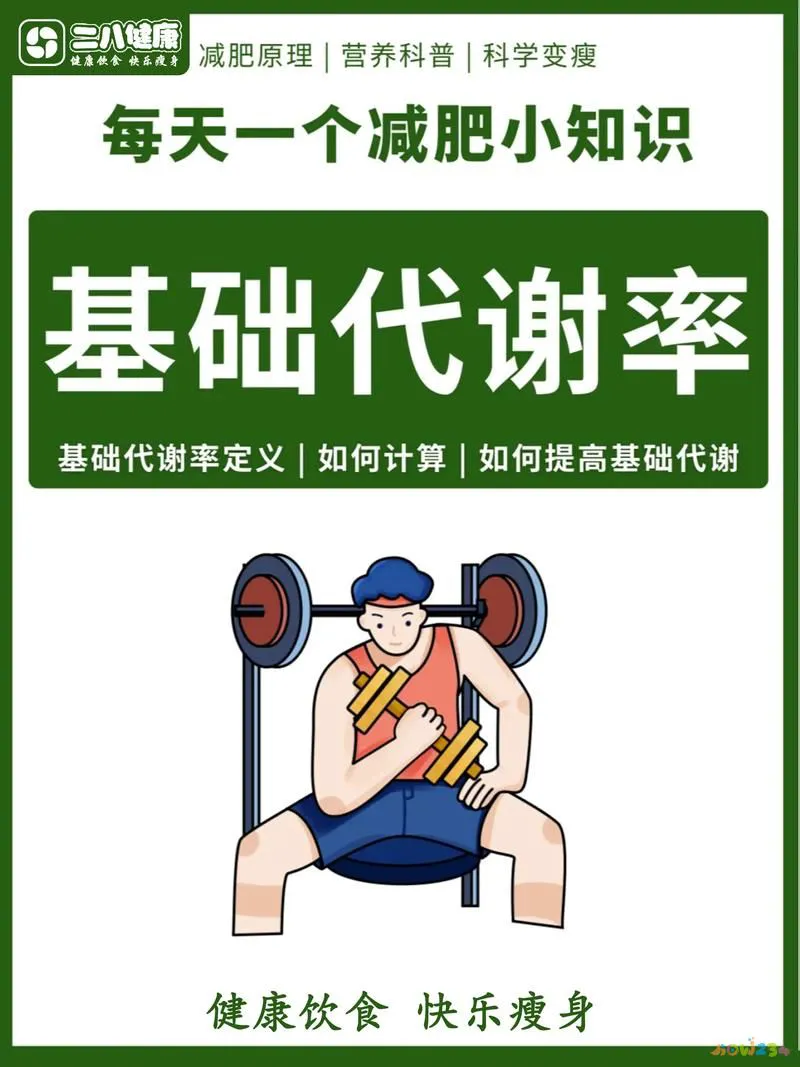 运动代谢公式_运动代谢怎么算_代谢与运动