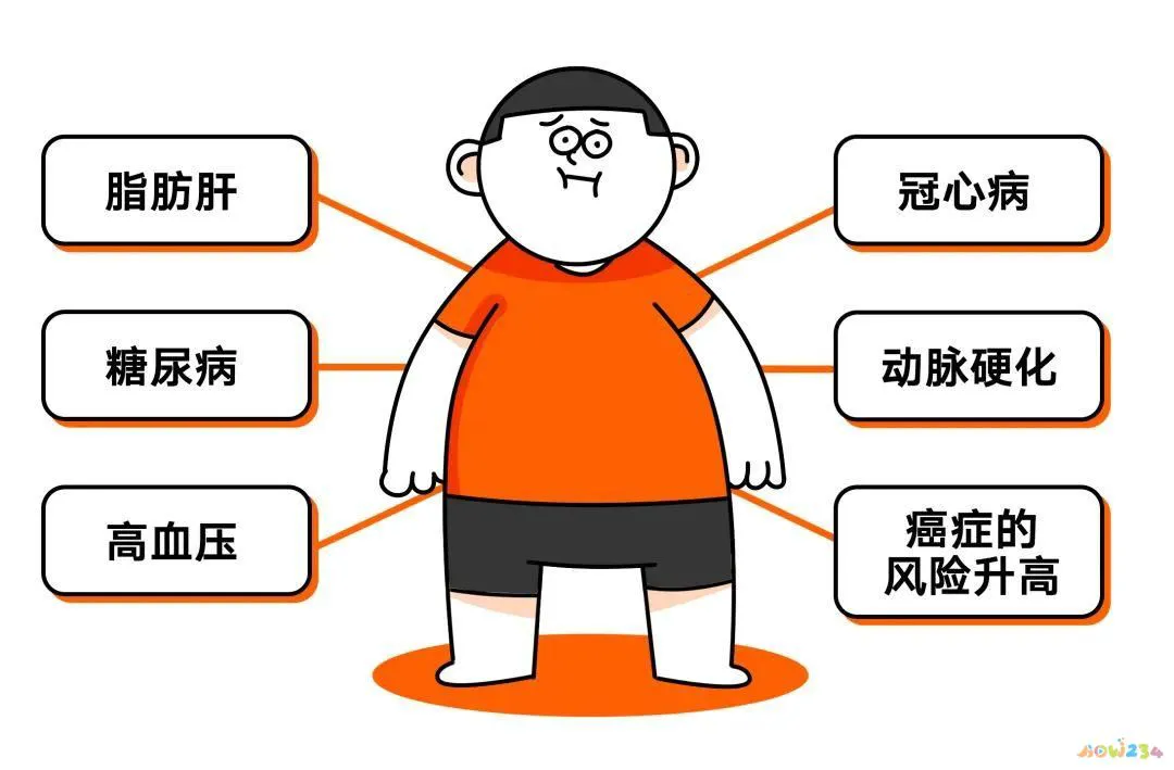 减肥肚子皮松弛怎么变得紧致_运动减肥肚子全是皮_减肥减肚皮运动