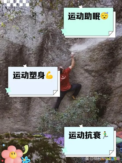 人体锻炼运动氧主要有什么作用_氧运动有哪些项目_有氧运动主要锻炼人体的