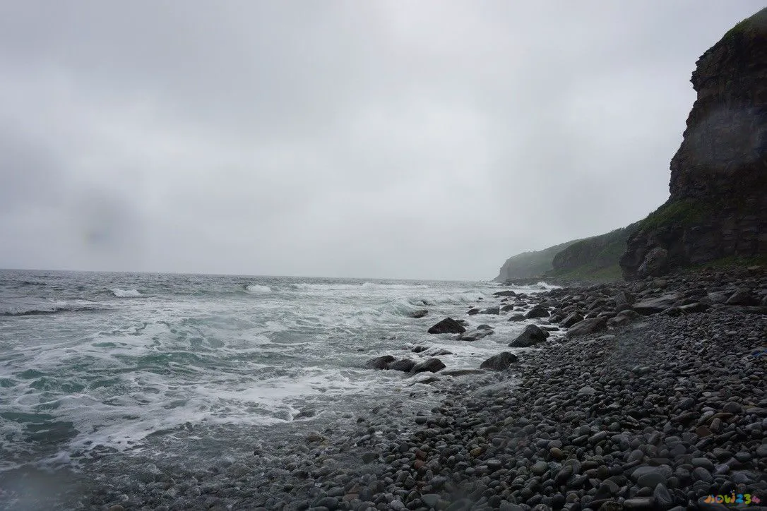 代谢与运动_运动代谢怎么算_运动代谢率高好还是低好