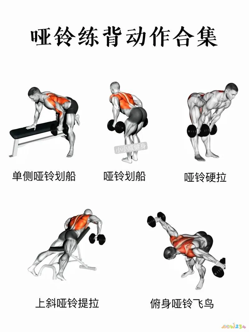 手臂要多长_减手臂运动多长_手臂多久锻炼一次