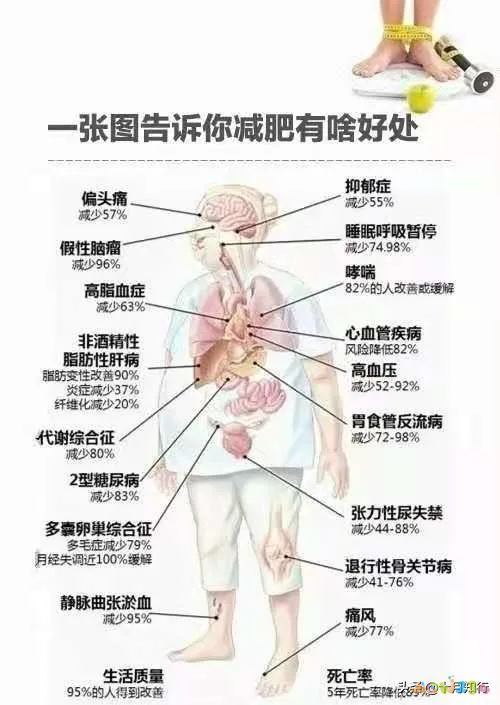 卷腹是什么运动_卷腹运动好处_卷腹运动是啥