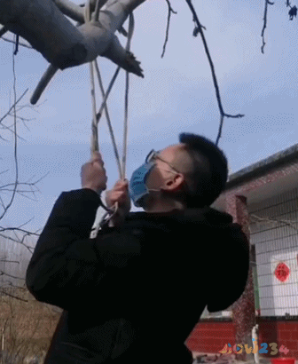 关于减肥可以做的运动_减脂运动可以瘦吗_运动减肥可以休息吗