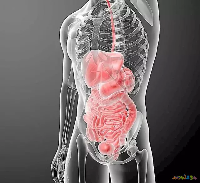 减肥运动方法视频教程_减肥快的运动方法_减肥运动方法瘦肚子和大腿运动