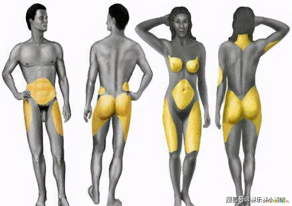 大腿脂肪消耗运动能减掉吗_怎样运动消耗大腿脂肪_大腿脂肪消耗运动能量吗