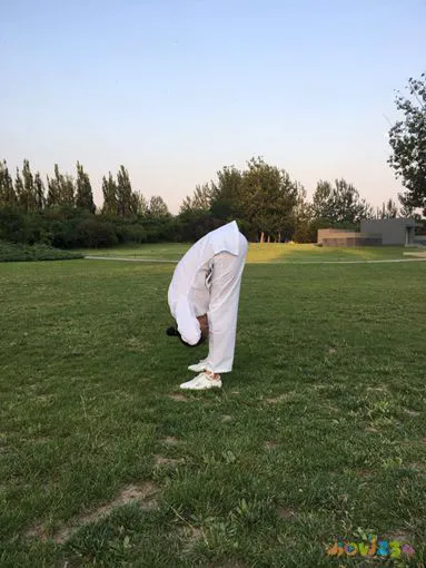 腰疼运动疗法视频图_腰疼运动操作视频_腰疼做什么运动动作图