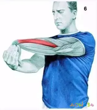 拉伸运动图片动作大全_运动拉伸动作图片_拉伸运动图片动作视频