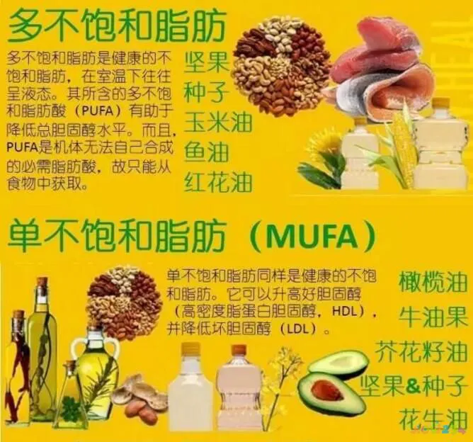 靠减肥餐可以减下来嘛_减肥3分靠运动7分靠吃_减肥 三分靠运动 七分靠饮食