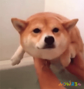 运动减肥瘦身方法_瘦身减肥运动方法_瘦身减肥运动方法视频