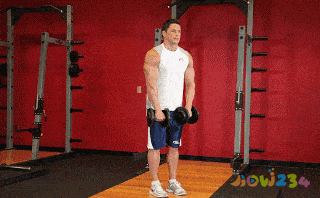 手臂减肥运动_臂部怎么减肥运动_瘦臂运动怎么写