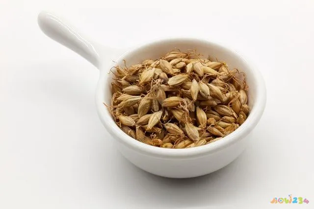 肥胖运动适合跑步吗_肥胖适合那些运动_肥胖运动适合什么运动