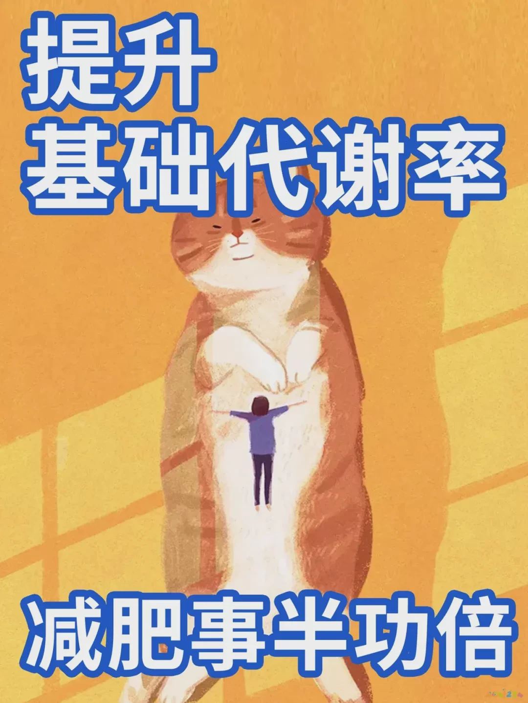 减肥运动方法视频教程_减肥运动方法瘦肚子和大腿运动_减肥快的运动方法