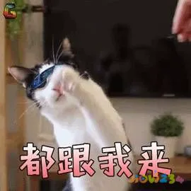 健身的机械动作名称大全_健身房运动机械_健身房机械的使用方法