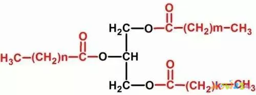 热量高可以增肥吗_运动员增加体重吃什么热量最高_吃高热量加锻炼就可以增肌吗