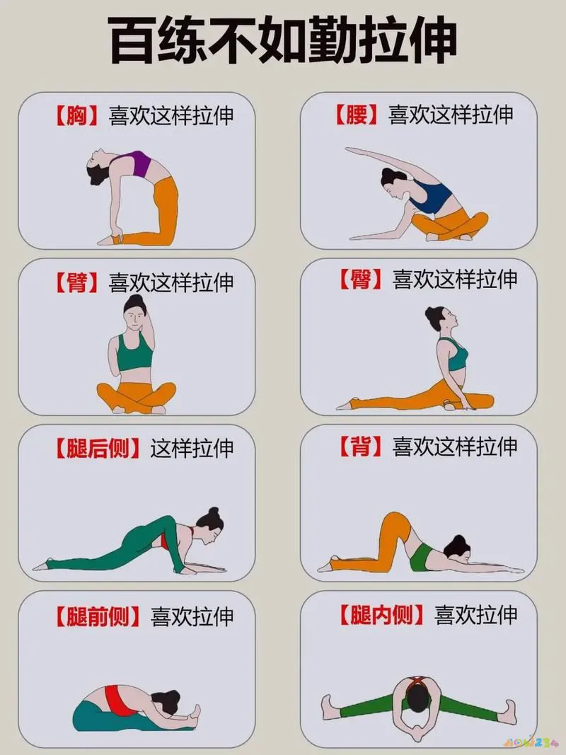 拉伸运动图片动作大全_拉伸运动图片动作视频_运动拉伸动作图片