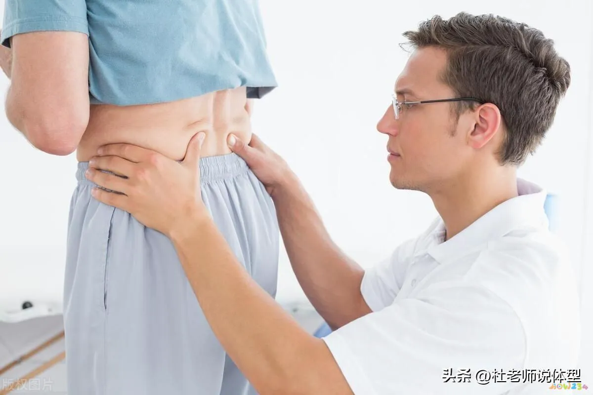 腰部助运动有什么作用_腰部助运动有哪些项目_什么运动有助于腰部