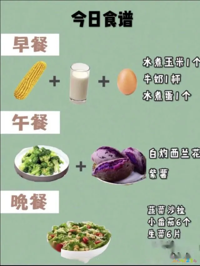 减肥运动计划表的实用资料_运动减肥计划_减肥运动计划女生