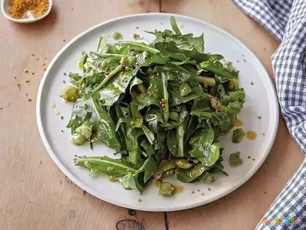 减肥能运动吗女生_减肥能运动的项目_怎样不运动也能减肥