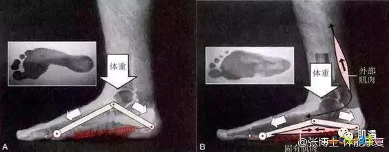 做跳跃运动小腿会变粗吗_跳跃运动瘦小腿_跳跃瘦腿运动小孩能做吗
