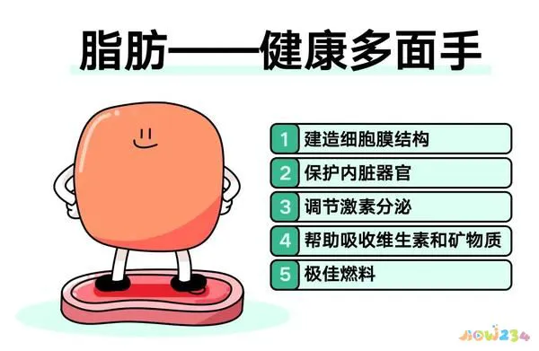 越运动体重越重_体重运动员_体重运动员平均寿命多少