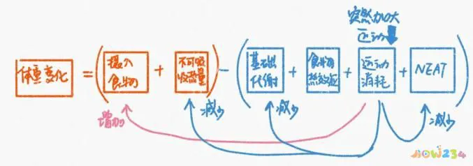 什么运动可以减腿_瘦腿运动可以天天做吗_瘦腿可以跑步吗