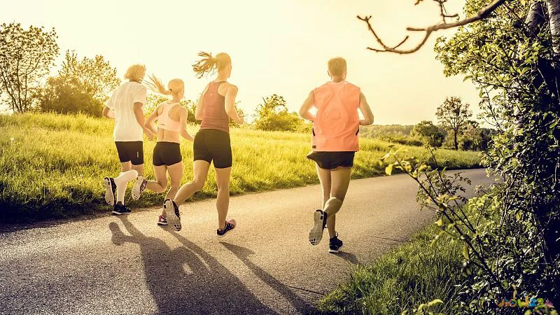 减肥操运动app_能减肥的运动操_减肥操能运动出汗吗