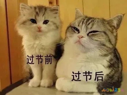 减肥运动_减肥运动快速瘦肚子_减肥运动最快效果最好方法