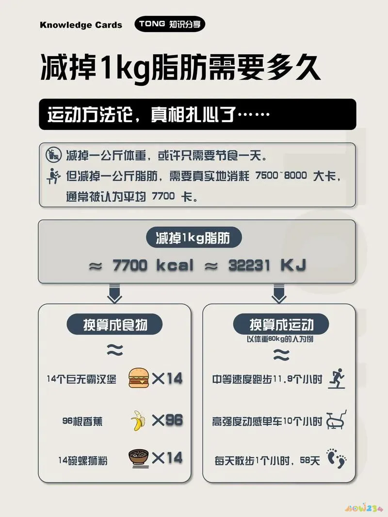 运动后吃减肥餐会胖吗_减肥期间运动过后吃什么比较好_运动后怎么吃减肥吗