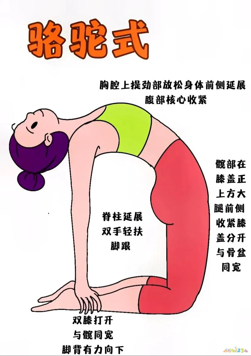 运动拉伸动作图片_拉伸运动图片动作视频_拉伸运动图片动作大全