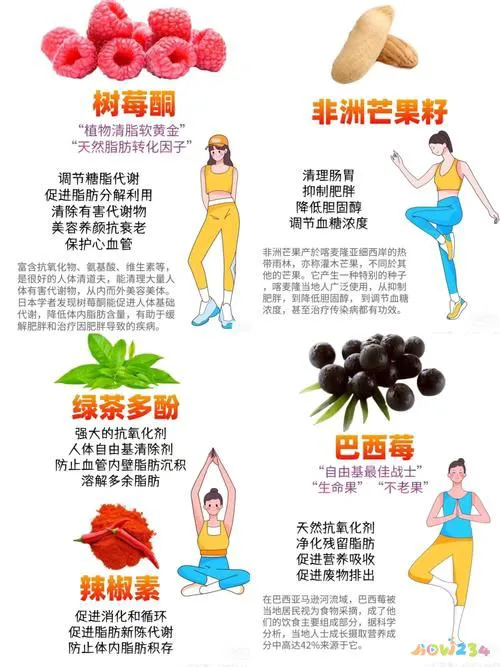 胖子减脂运动_女胖子减肥的视频_胖子运动减肥成女神