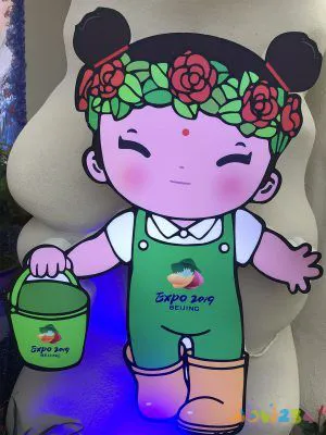 运动健康减肥法_怎么健康运动减肥_减肥运动健康app