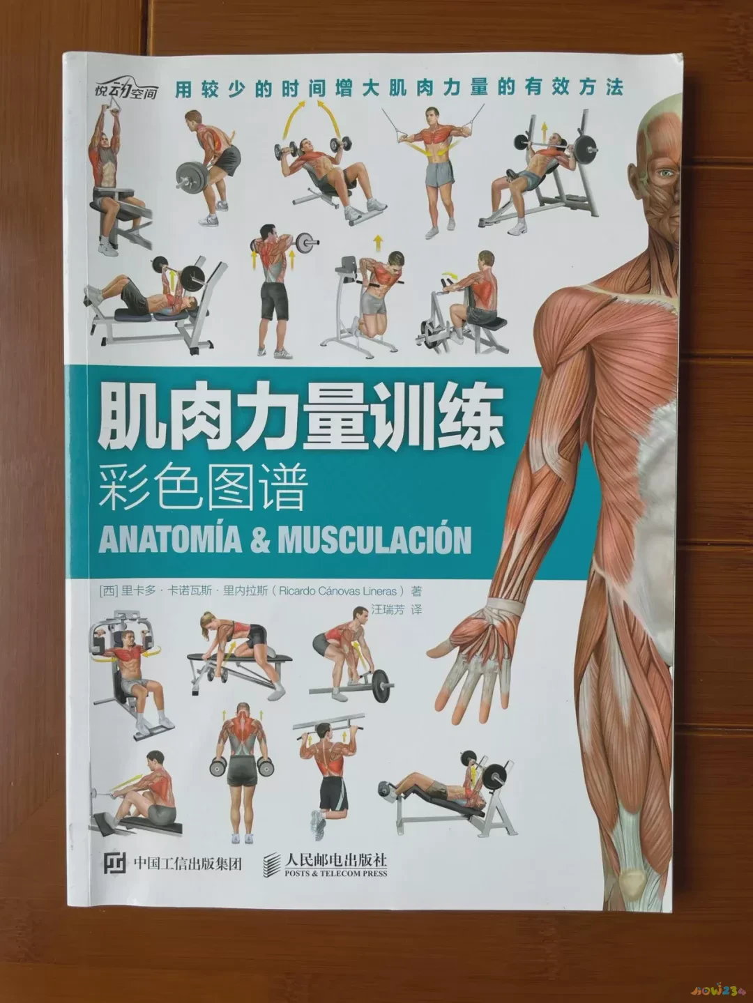 效果减肥运动有哪些项目_最有效果的减肥运动_减肥有效果的运动