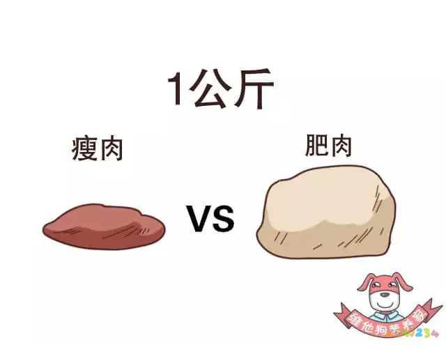 怎么运动减胸围_怎么运动减胸围_怎么运动减胸围