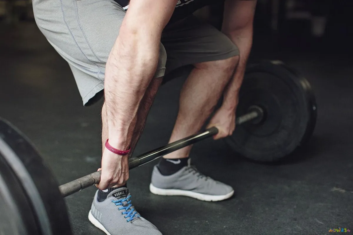 运动代谢怎么算_运动代谢公式_运动代谢率高好还是低好