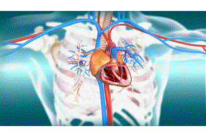冠心病患者如何科学运动？有氧运动与无氧运动的区别与选择指南