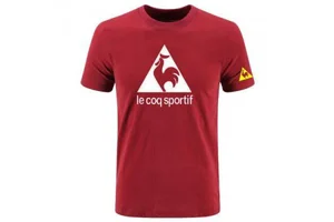 法国公鸡是什么档次的牌子 和奥康鞋子哪个好