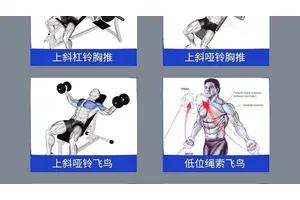 必须尝试的5个胸部训练！国外健身大能西蒙亲授高效锻炼法