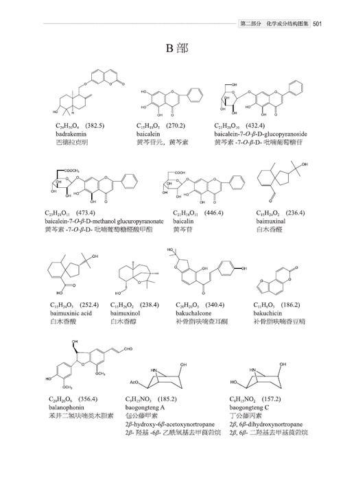 活性成分是什么?2025年最新护肤必备知识!