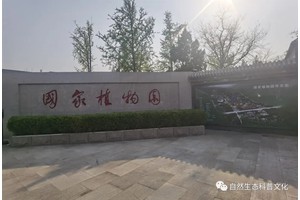 国家植物园接牌：春天的节奏，天地人合的混化