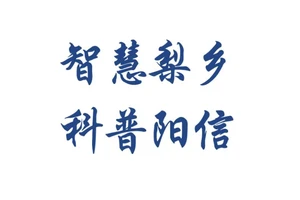 年轮：树木的 “生长日记”