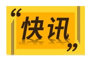投资公司HLD：正在与LVMH首席执行官进行谈判