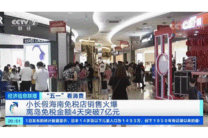 90后炒潮玩积木熊 专家：不盲目跟风