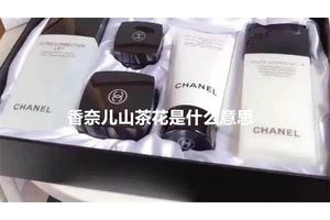 香奈儿山茶花是什么意思