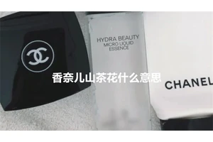 香奈儿山茶花什么意思