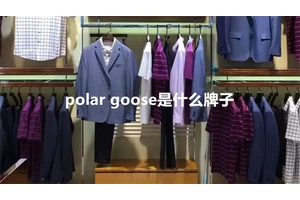 polar goose是什么牌子