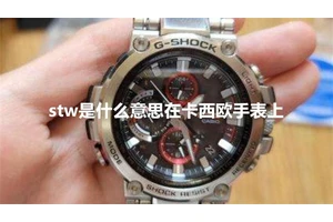 stw是什么意思在卡西欧手表上