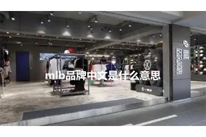 mlb品牌中文是什么意思