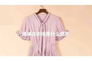 原单连衣裙是什么意思